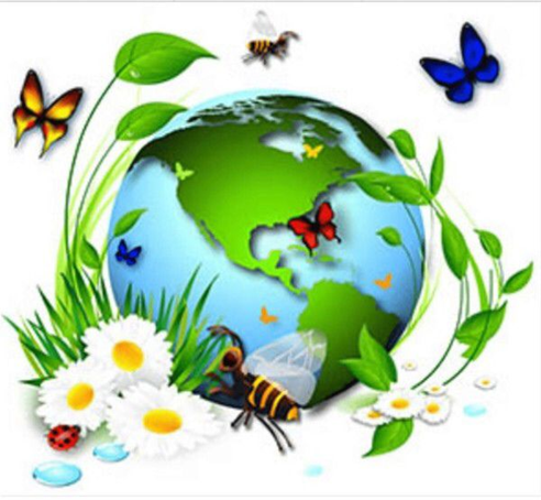 «Книга жалоб леса» Земной шар